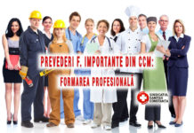 Formarea profesională